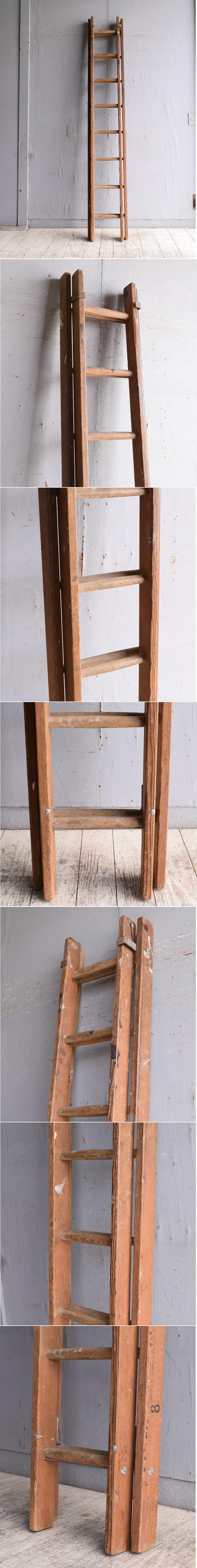 イギリス アンティーク 木製ラダー 梯子 ディスプレイ 10193