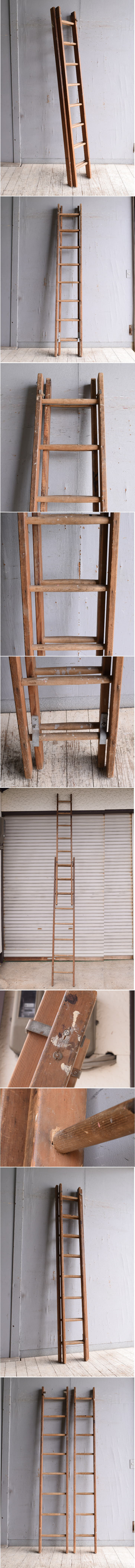 イギリス アンティーク 木製ラダー 梯子 ディスプレイ 10193