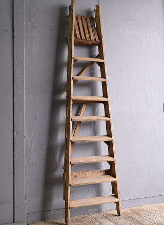 イギリス アンティーク ステップラダー 脚立 ディスプレイ 12148